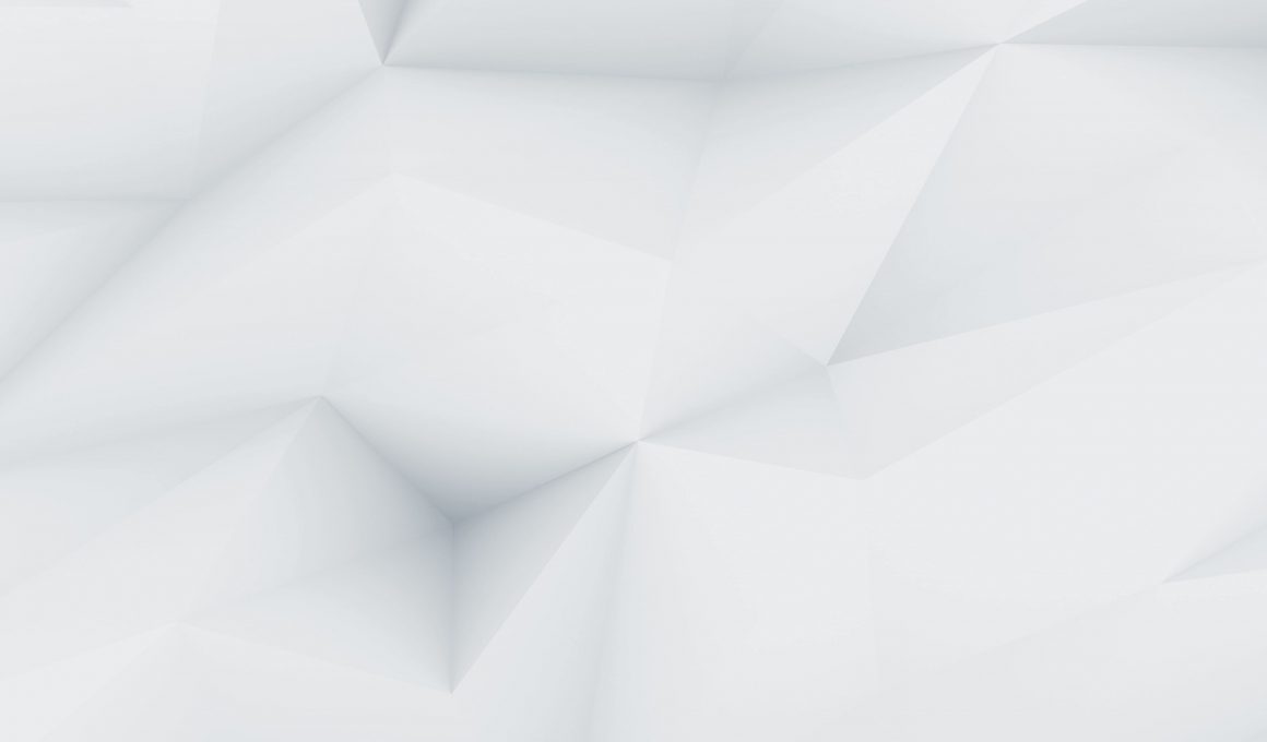 demo image 00001